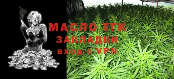индика Магас