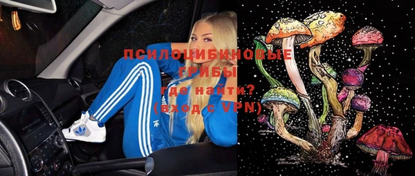 индика Магас